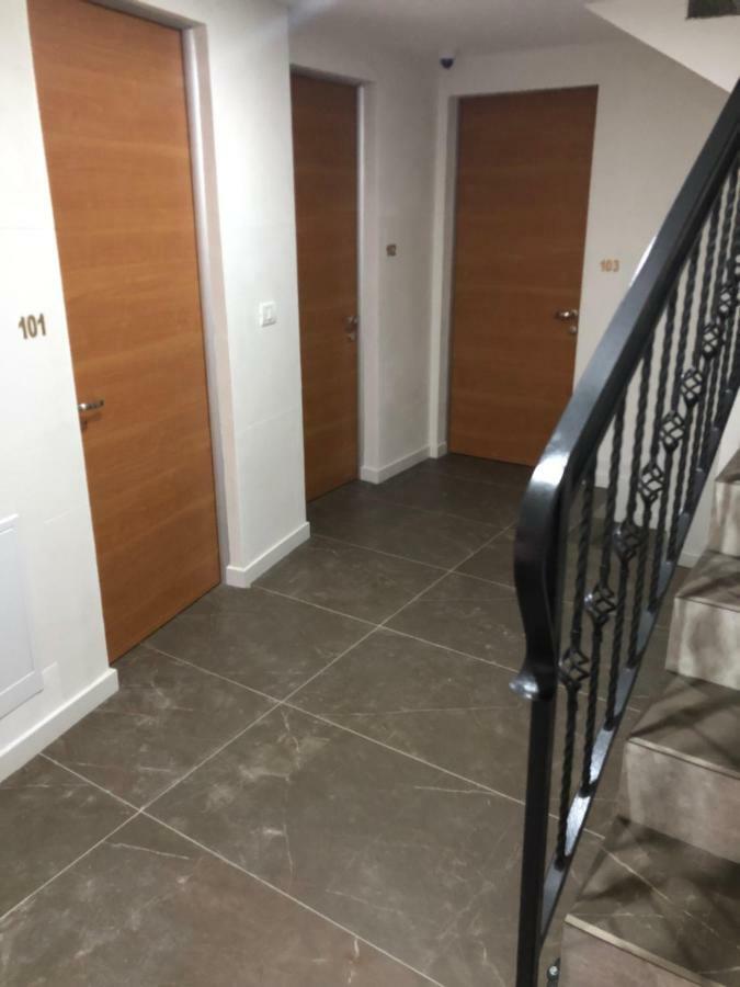 Pensiunea Exedra Hotel Borşa Eksteriør billede